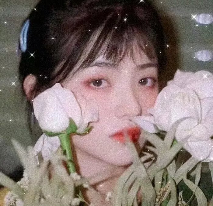 历尽沧桑一美人 封面