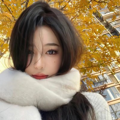 毁灭者 封面
